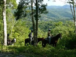 horseback