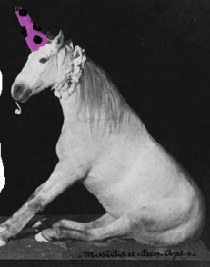 unicorn