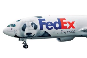 Look - they even have a panda on this plane!