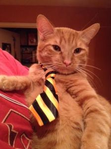 Joe in tie