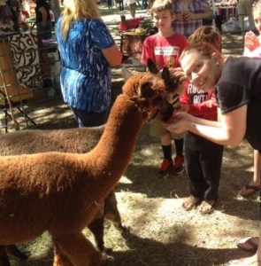 alpaca2a