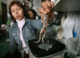 frog juice