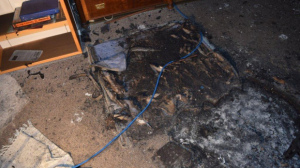 The burnt dog bed