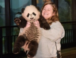 Bei bei