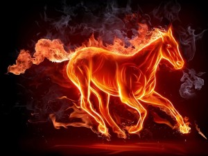bronco